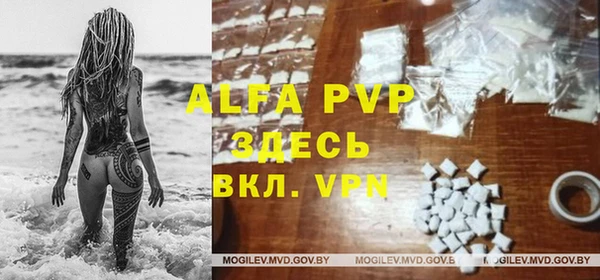 прущие грибы Тында