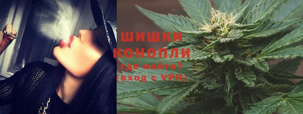 ПСИЛОЦИБИНОВЫЕ ГРИБЫ Аркадак