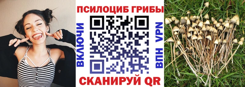 где продают   Кировск  mega как зайти  Галлюциногенные грибы ЛСД 