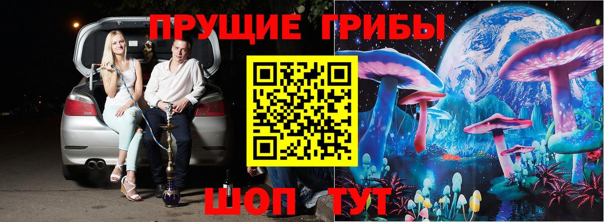 купить наркоту  Кировск  Псилоцибиновые грибы ЛСД  Галлюциногенные грибы мицелий 