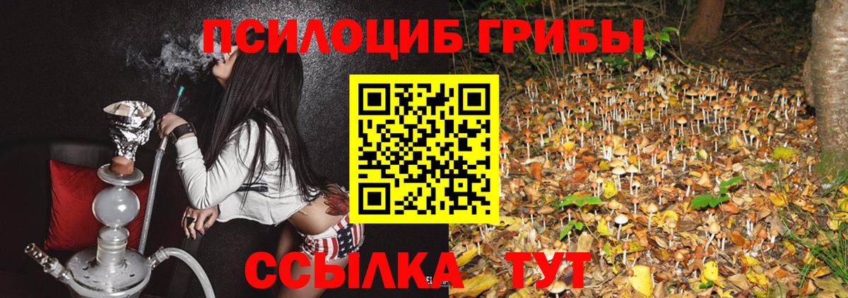 Псилоцибиновые грибы прущие грибы Кировск