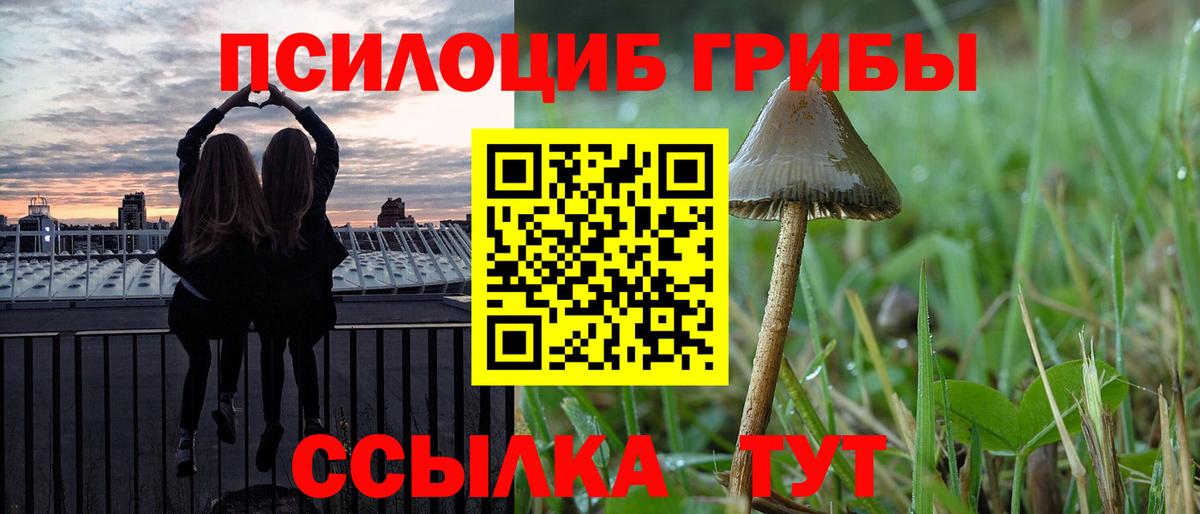 Псилоцибиновые грибы Cubensis Кировск