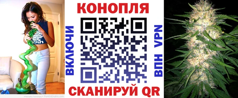 где купить наркоту  Кировск  Бошки Шишки гибрид 